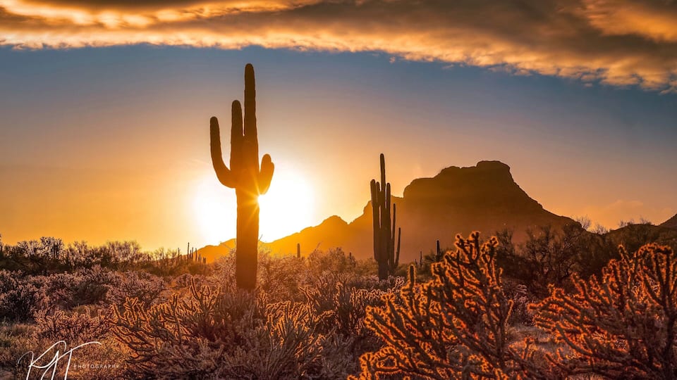 You know, just another amazing sunset in the desert.
