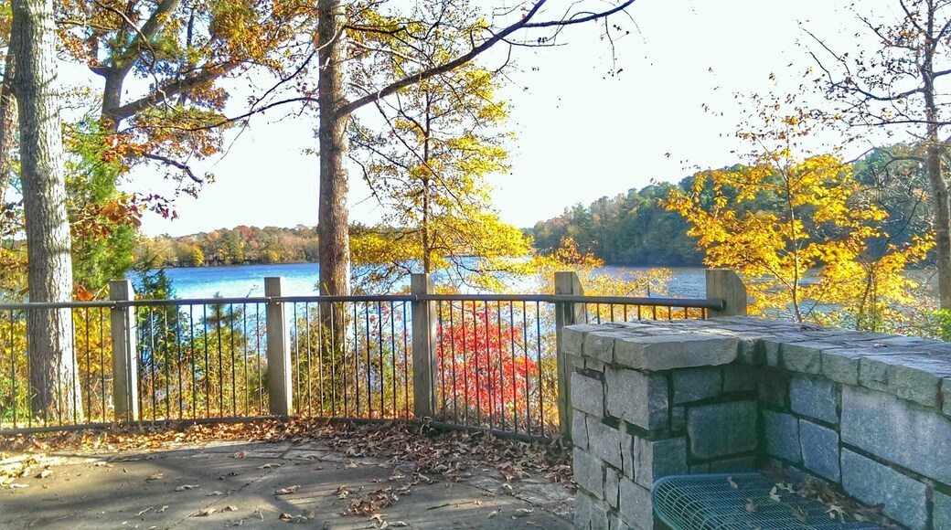 Nice place with beautiful scenery