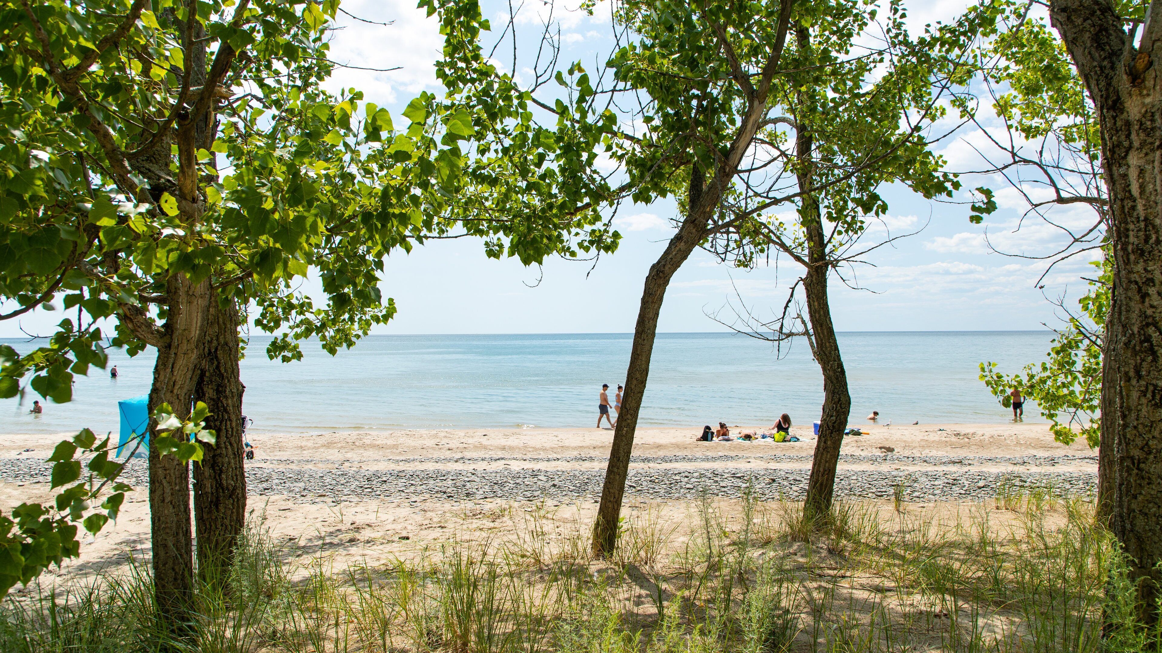 North Beach Provincial Park featuring general coastal views and a beach
