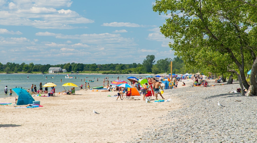 North Beach Provincial Park which includes general coastal views and a beach