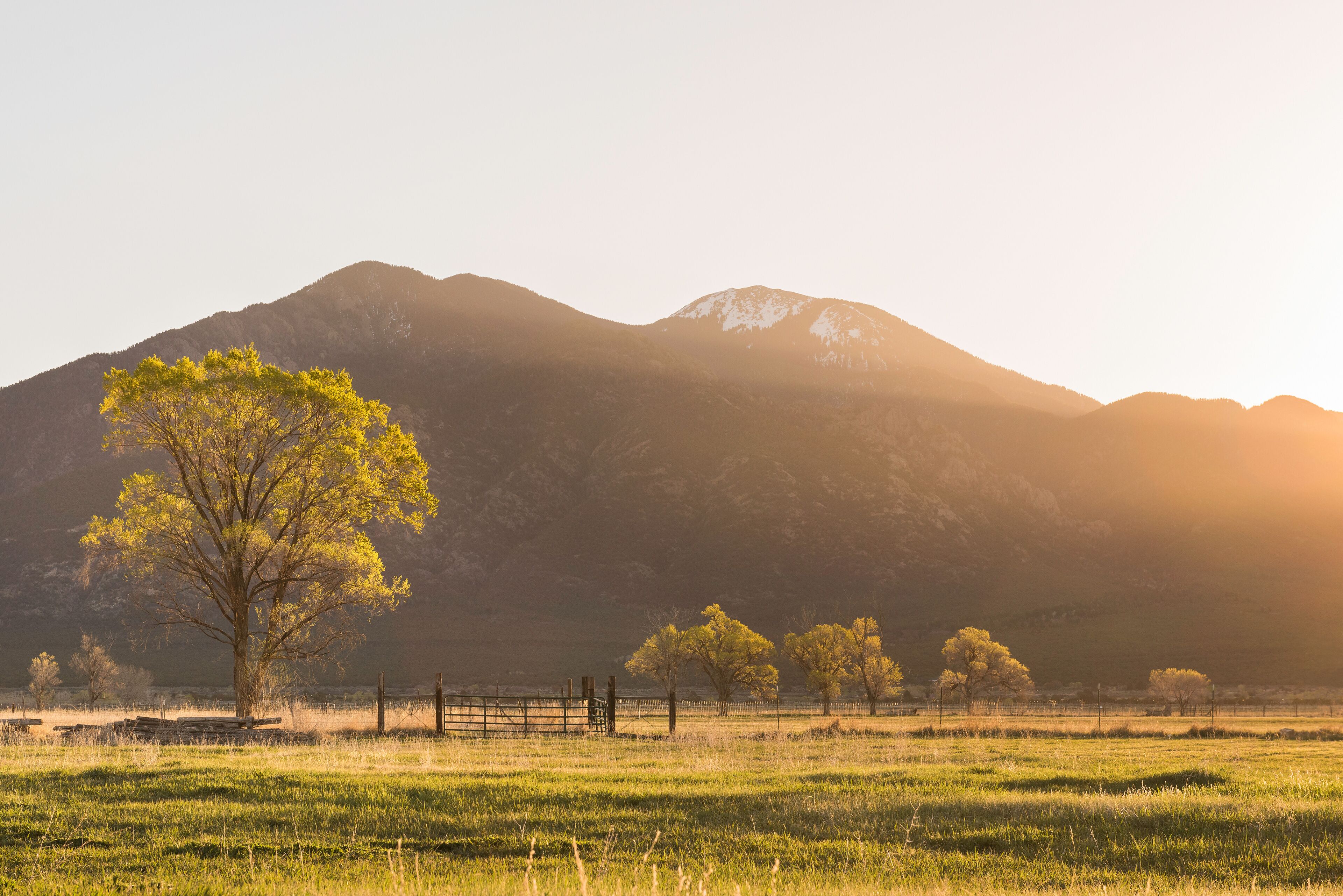 เอล ปราโด