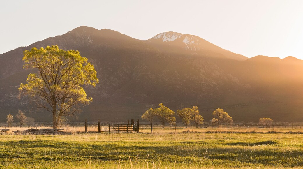 เอล ปราโด