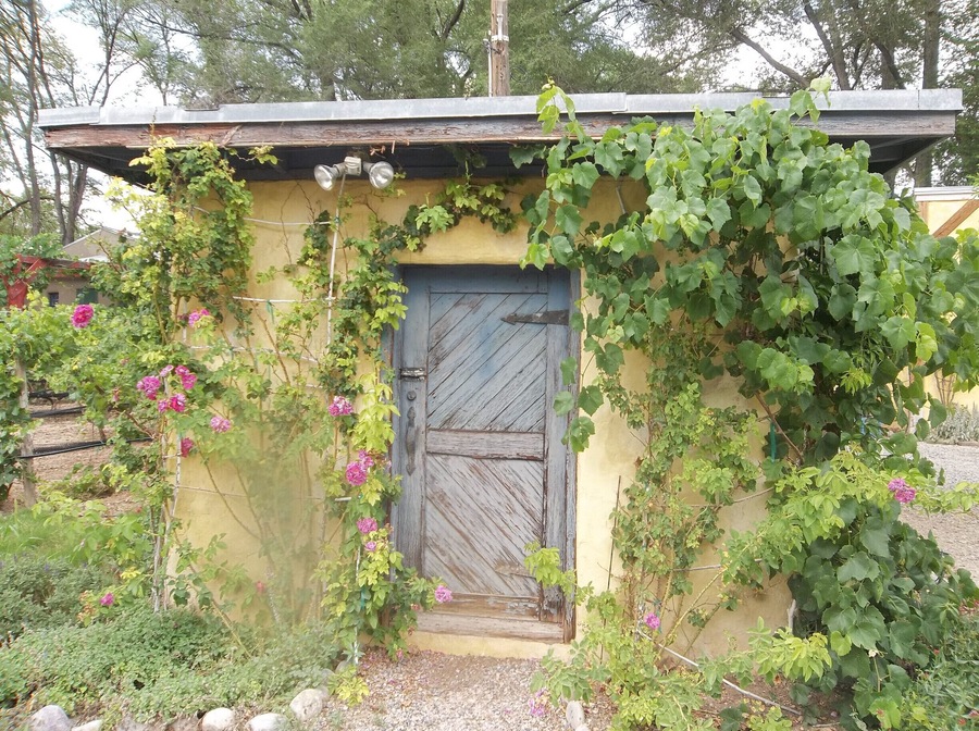 Absolutely beautiful vineyard not far outside of Santa Fe. The grounds are beautiful and the wine is tasty. Spend an hour on the back patio sipping some great flavors.