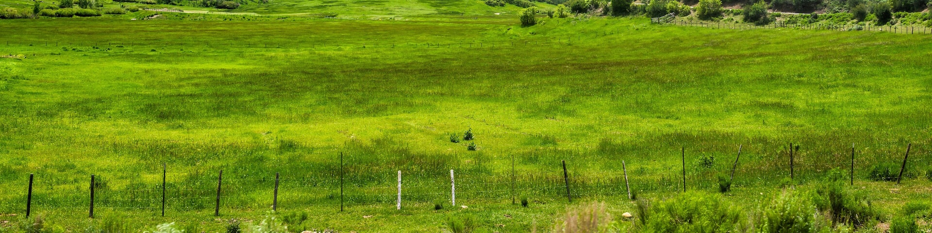 Carbondale, USA grass ranch fence view of snow on Mt Sopris in Colorado with rocky mountain peak and open pasture field in Roaring Fork Valley