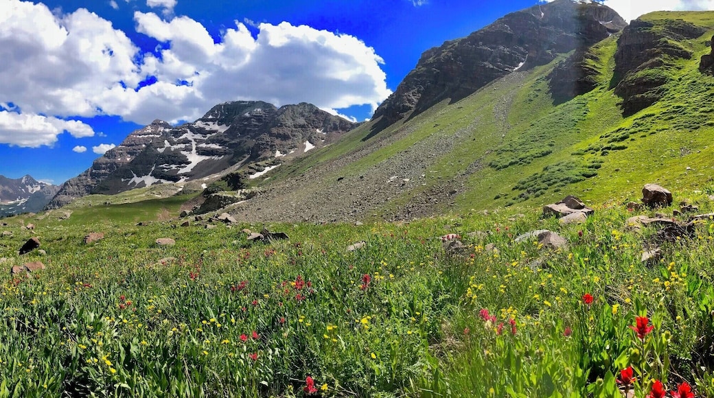 Descending the east side of Buckskin Pass on the Four Pass Loop in the Maroon Bells, Aspen Colorado. The wild flowers are in full bloom this week. A three day 29 mile loop circumnavigates the Maroon Bells Wilderness and climbs four passes over 12,400'.