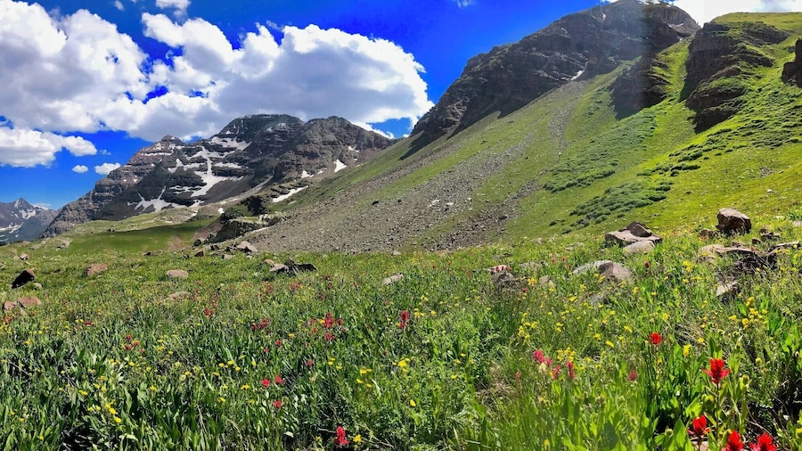 Descending the east side of Buckskin Pass on the Four Pass Loop in the Maroon Bells, Aspen Colorado. The wild flowers are in full bloom this week. A three day 29 mile loop circumnavigates the Maroon Bells Wilderness and climbs four passes over 12,400'.
