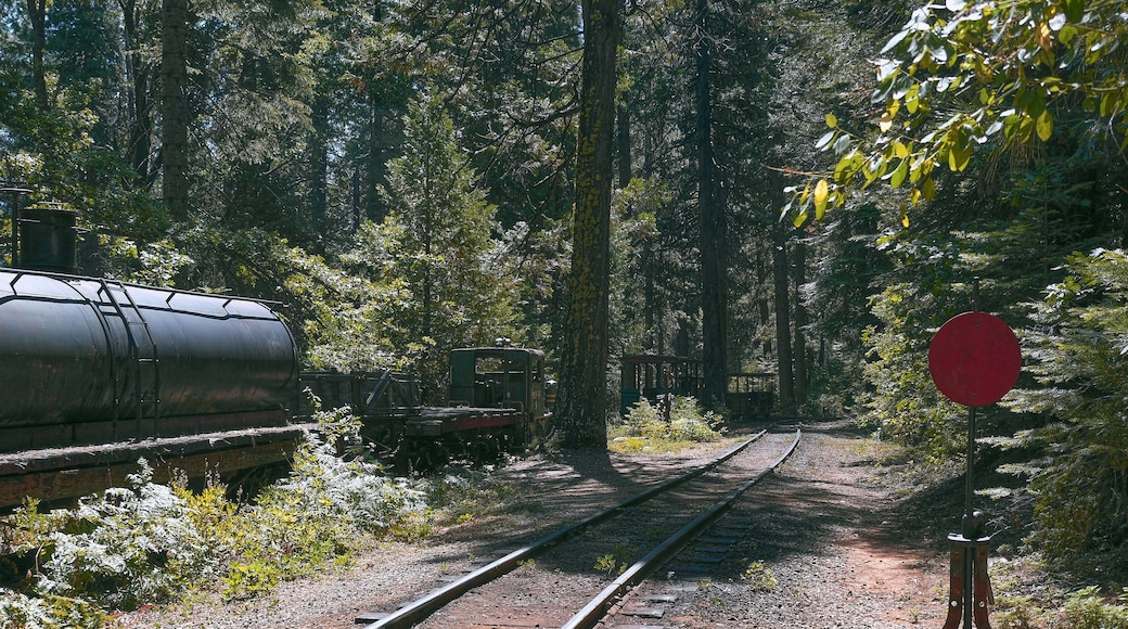 優勝美地山地糖松鐵路