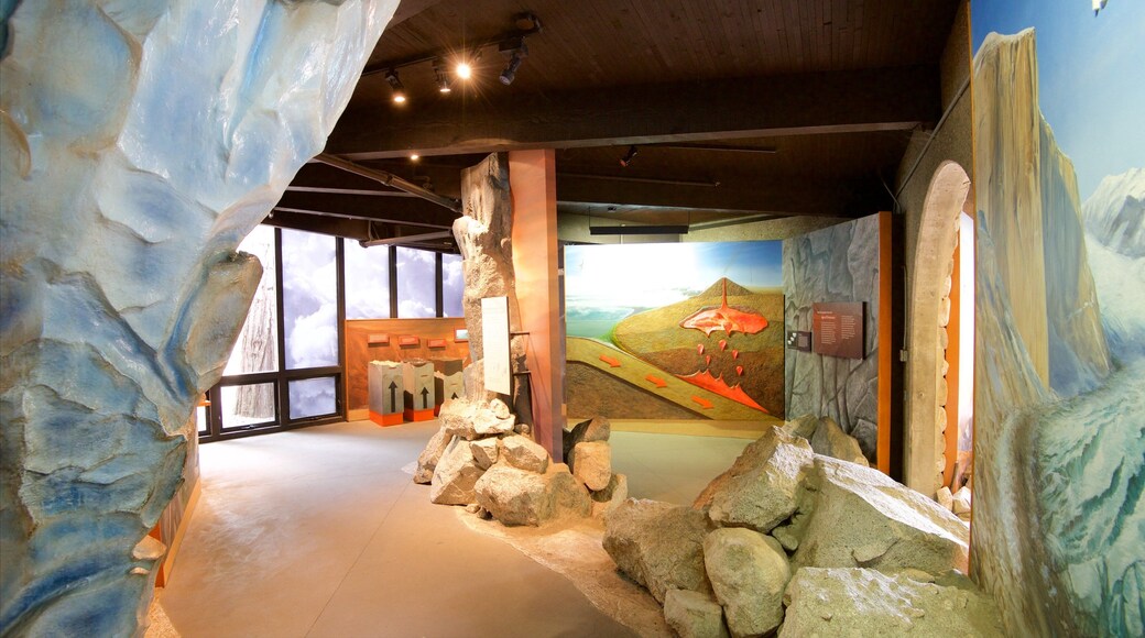 Yosemite Visitor Center featuring sisÀkuvat