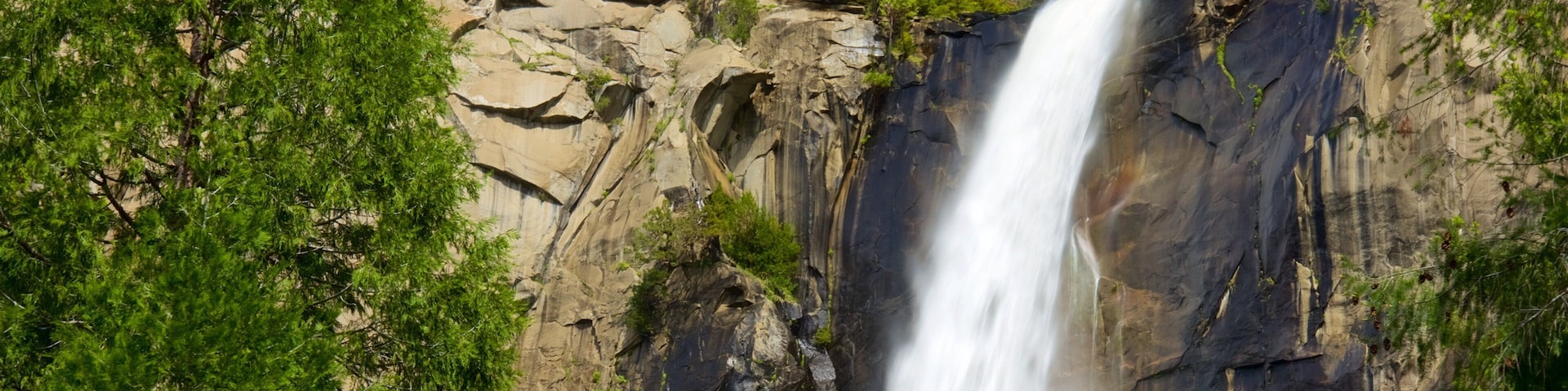 Bridalveil Fall mostrando un cañón o garganta, bosques y una catarata