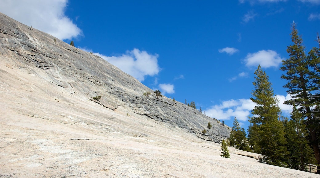 Lembert Dome showing mountains