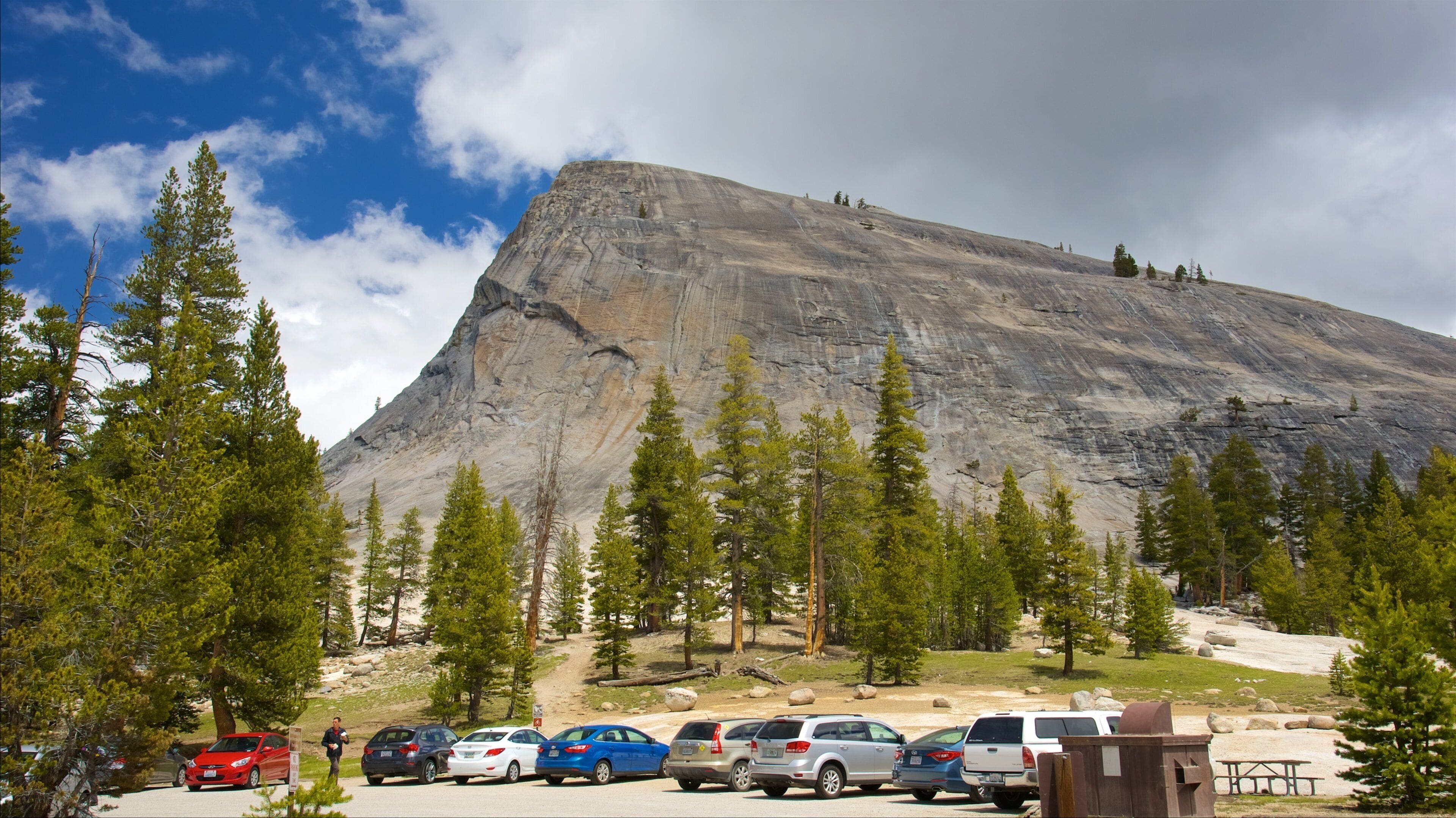 Lembert Dome featuring mountains and forest scenes