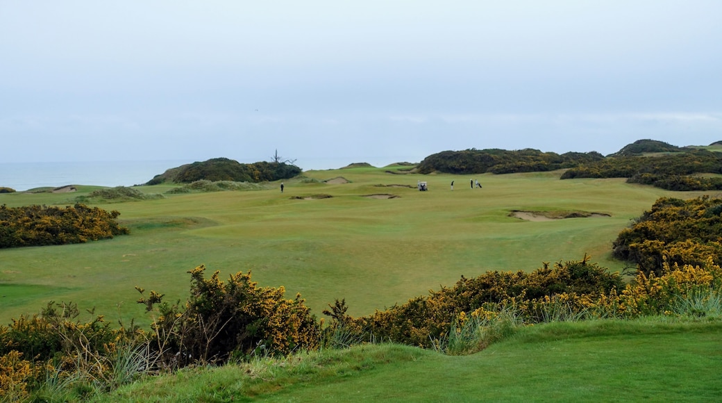 The Links 高爾夫球場