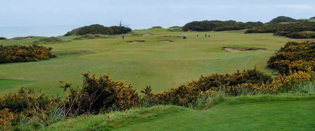 A beautiful view of a parkland area with a par 4 golf hole in Bandon, Oregon, with the ocean in the background and yellow heather in bloom