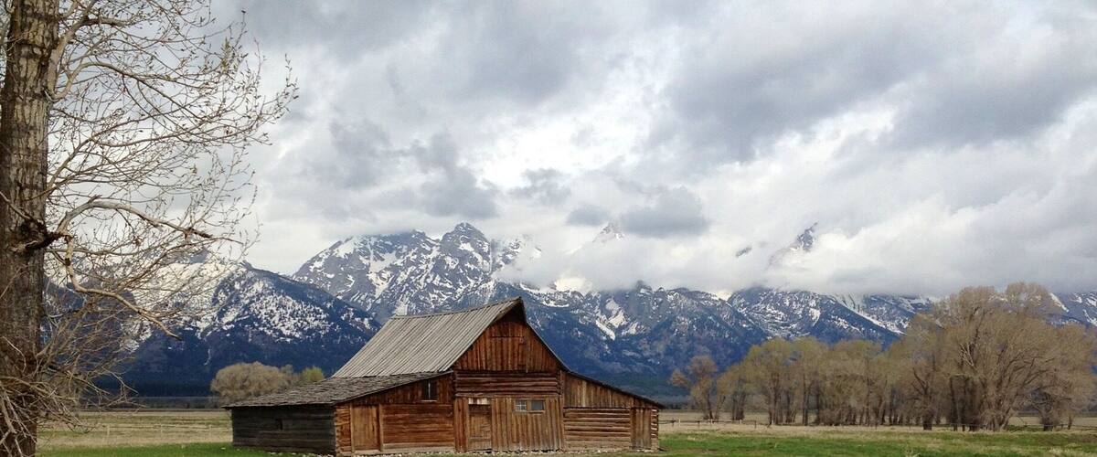 Looking for that all country feel of Wyoming? Make sure you stop by Jackson Hole's famous barn. You might find some buffalo on the way there 🐷🐥🐮
#barn
#mountain
#Wyoming