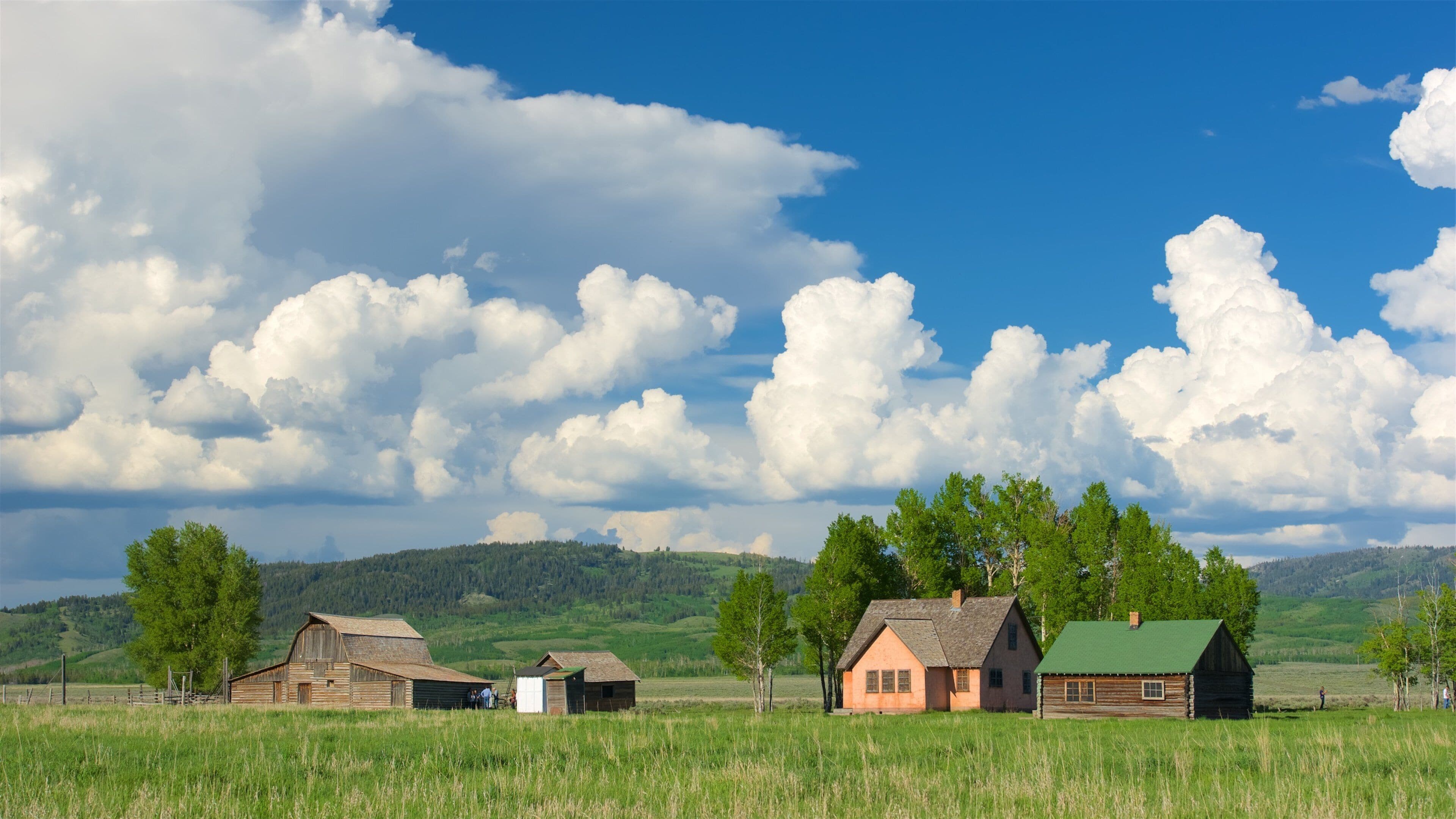 Mormon Row Historic District showing a house, tranquil scenes and landscape views
