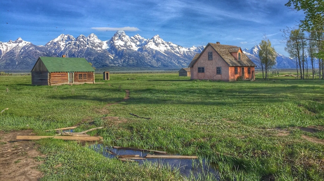 Tetons in the background.