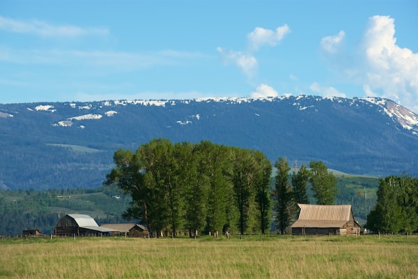 Propriétés Mormon Row Historic District qui includes panoramas, maison et scènes tranquilles
