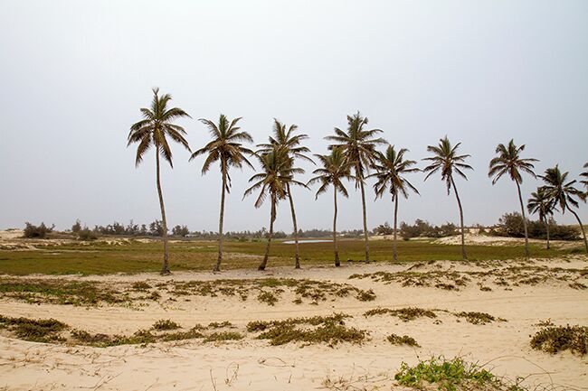 Sometimes a tourist attraction can be a disappointment at first glance, but if you take your time it can still be a great experience. Read more about our meeting with the Pink Lake that was not pink at all and our adventures in the dunes towards The Atlantic Ocean on:  http://www.travelwithallsenses.com/senegals-pink-lake-lake-retba/