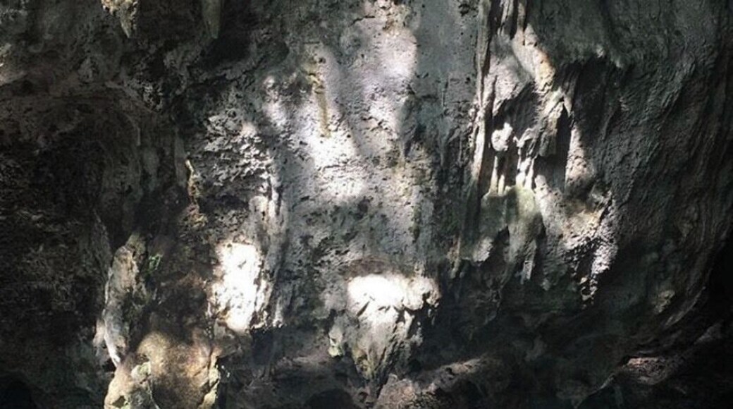 actually called “Parque Los Tres Ojos” fyi :)