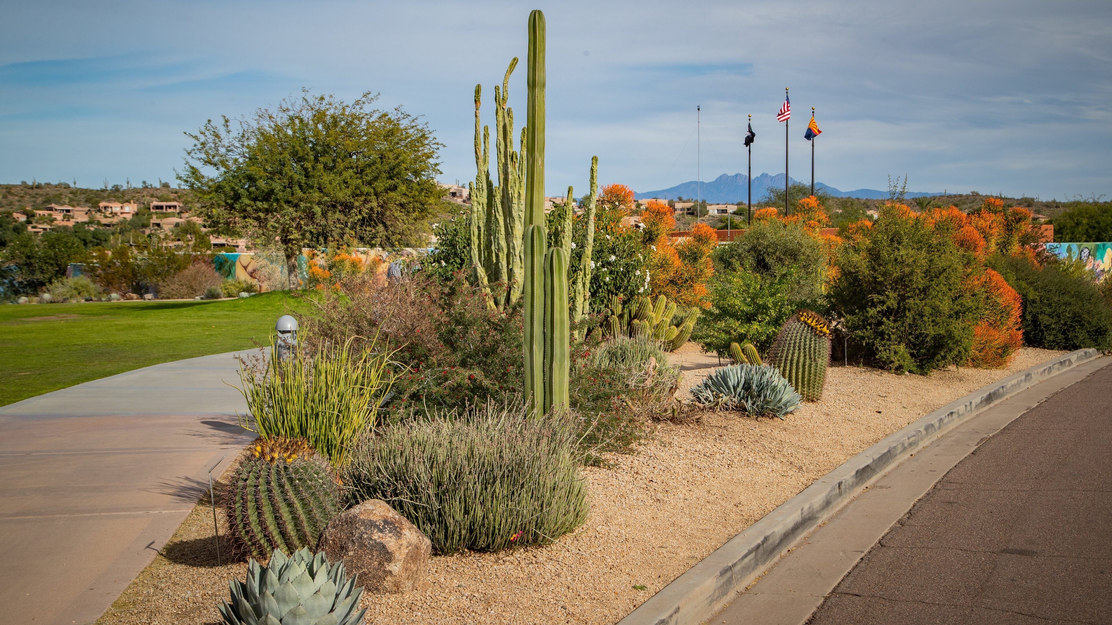 Fountain Hills Fountain