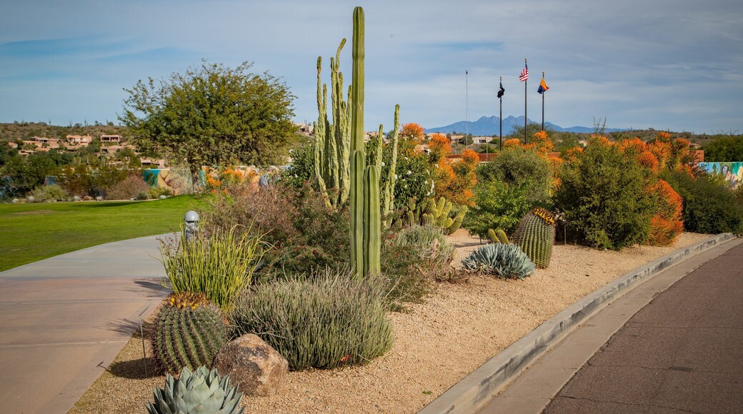 Fountain Hills Fountain