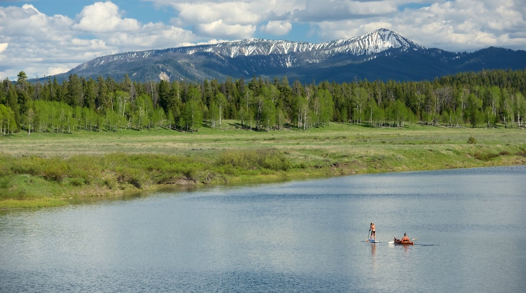 Oxbow Bend og byder på udsigt over landskaber, vådområde og kajaksejlads eller kanosejlads