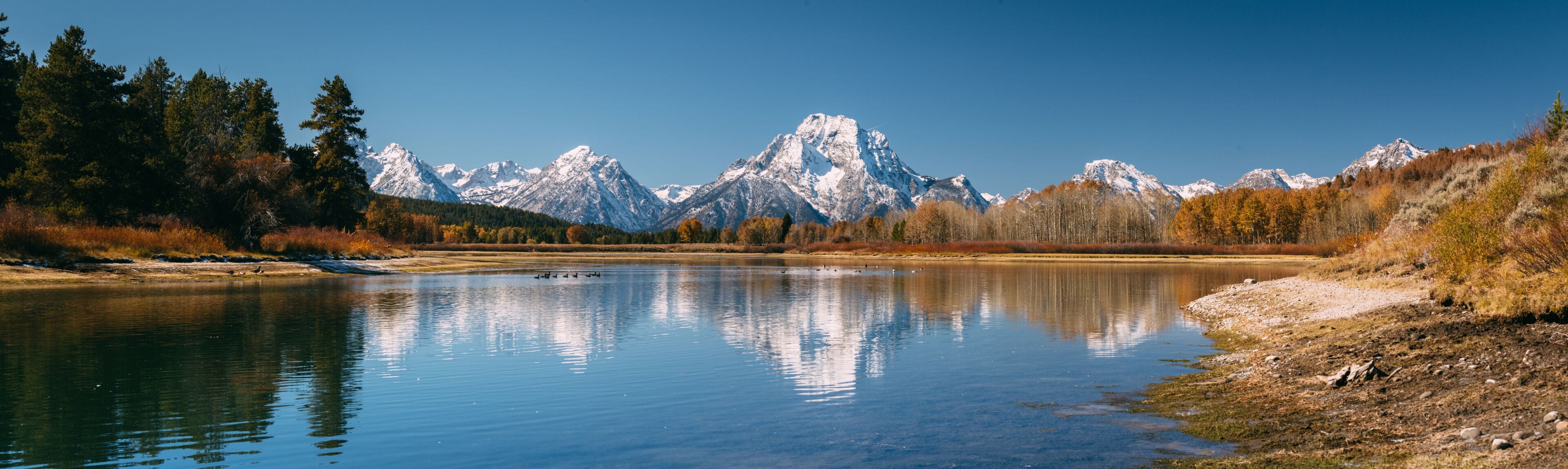 Oxbow Bend viewpoint on panorama with mt. Moran, Snake River and its wildlife during autumn, Grand Teton National park, Wyoming, USA