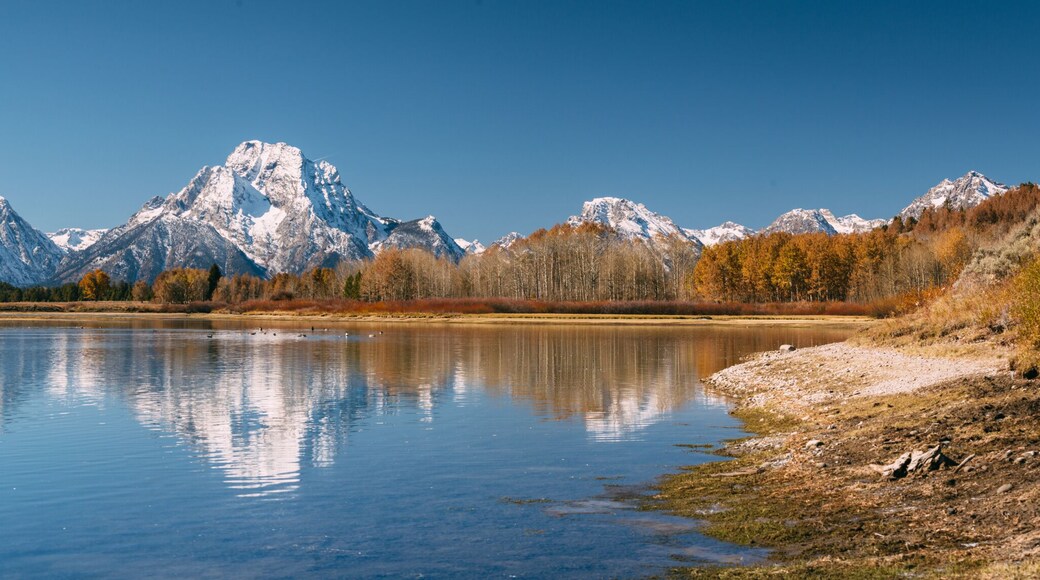 Oxbow Bend viewpoint on panorama with mt. Moran, Snake River and its wildlife during autumn, Grand Teton National park, Wyoming, USA