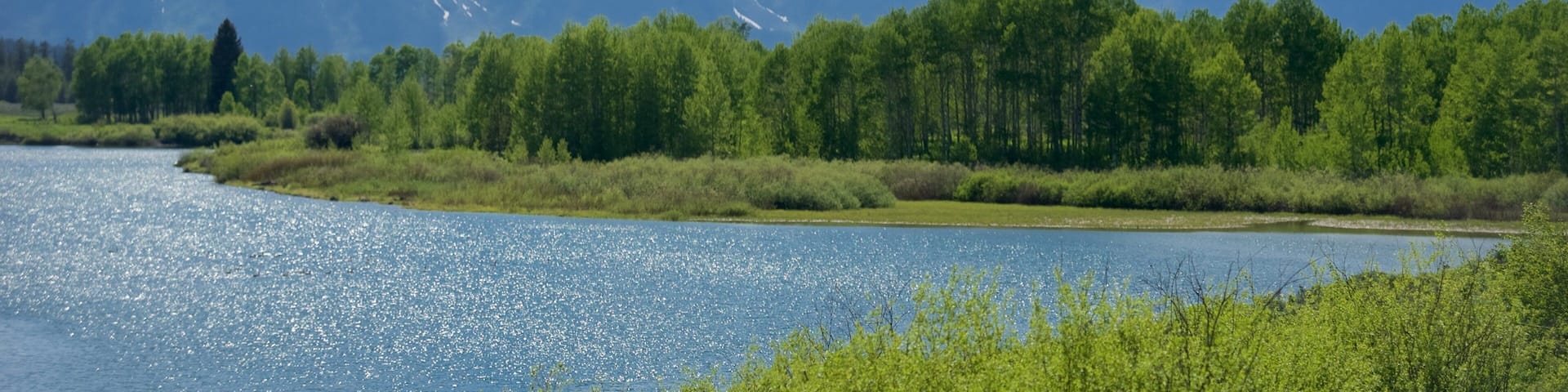 Oxbow Bend welches beinhaltet Fluss oder Bach und Berge