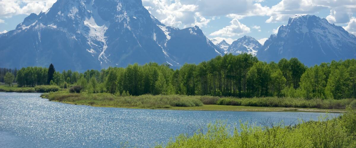 A lake surrounded by mountains and a dense forest.