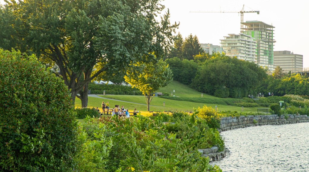 Voyageur Provincial Park featuring a park as well as a small group of people