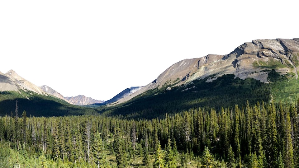 A mountainous landscape with dense forests and rugged peaks.