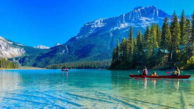 Emerald Lake,Yoho National Park in Canada,banner size