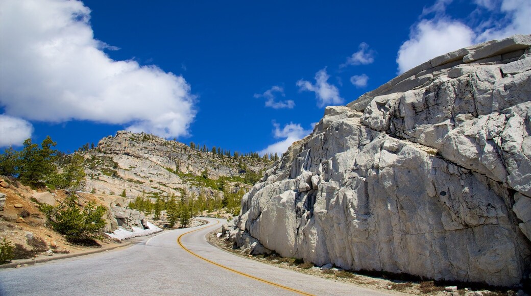 奧爾姆斯特角 其中包括 寧靜風景