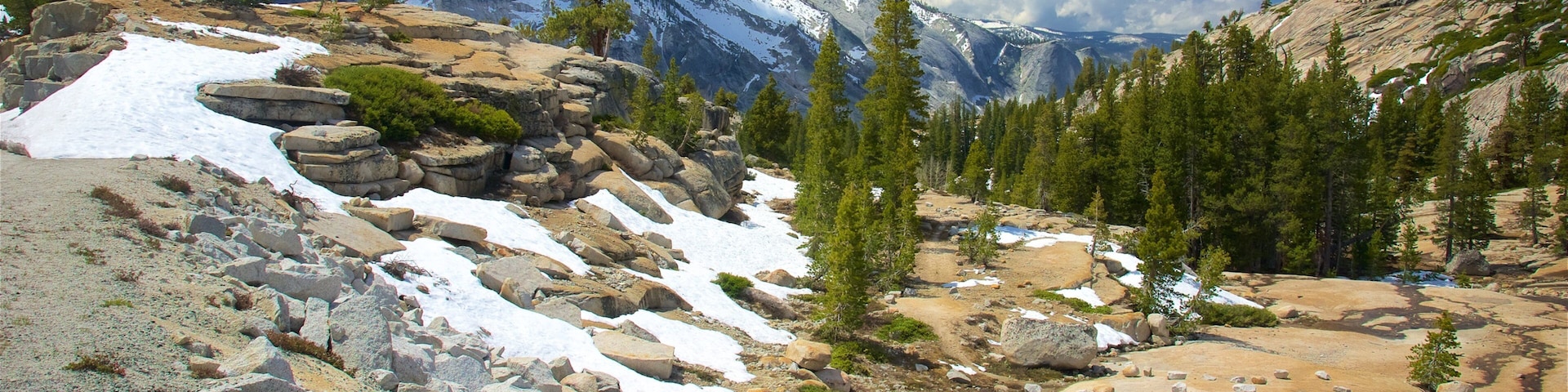 Olmsted Point mostrando neve, paisagem e cenas tranquilas