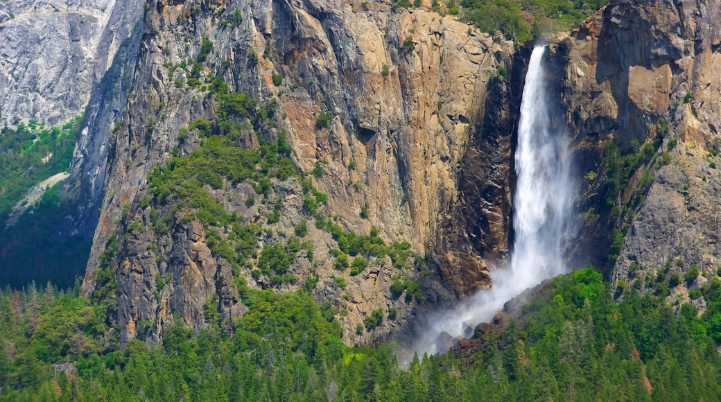 Tunnel View som inkluderer fossefall, skog og fjell