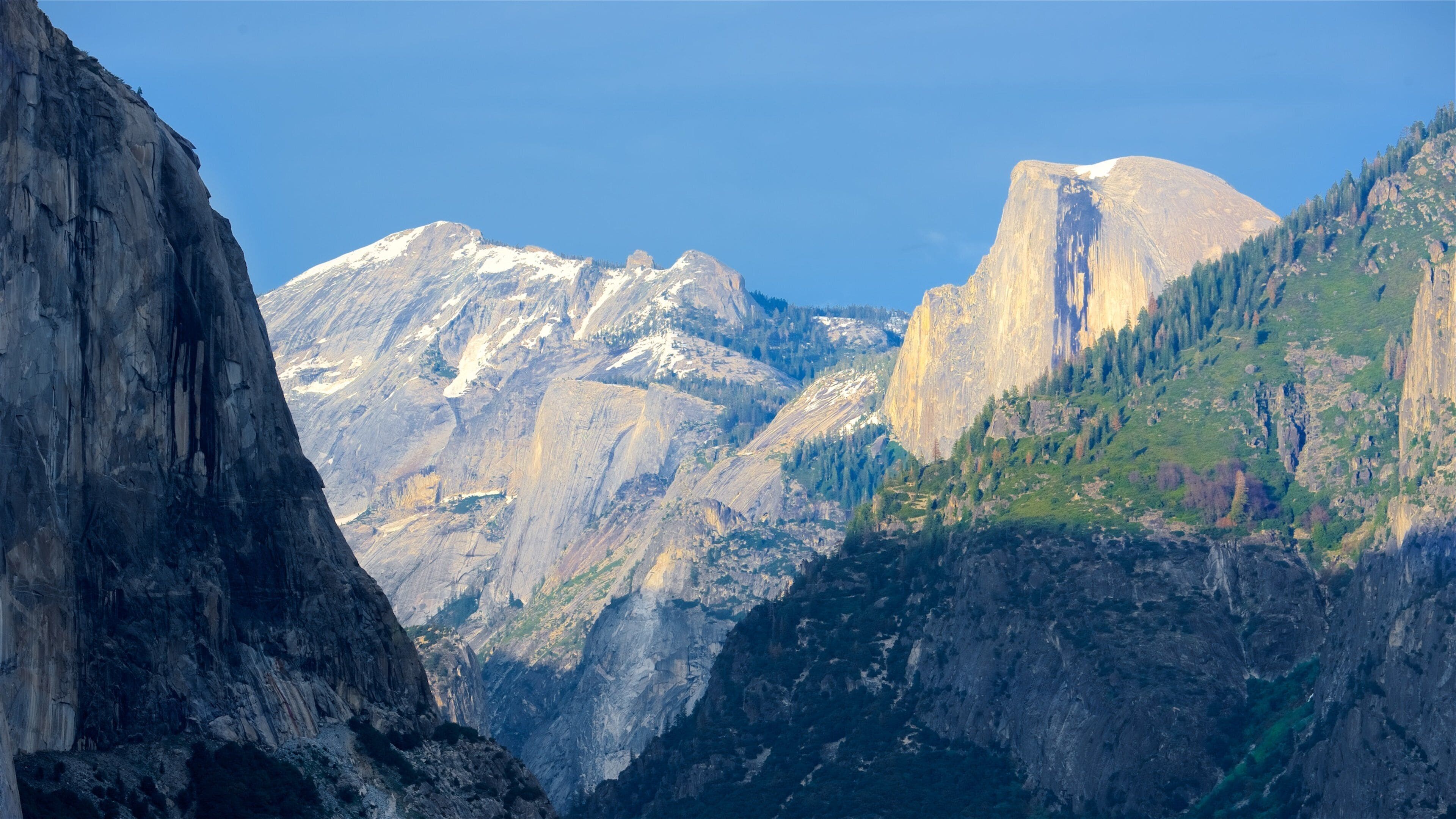 トンネル ビュー (ヨセミテ国立公園) - ツアーとアクティビティ