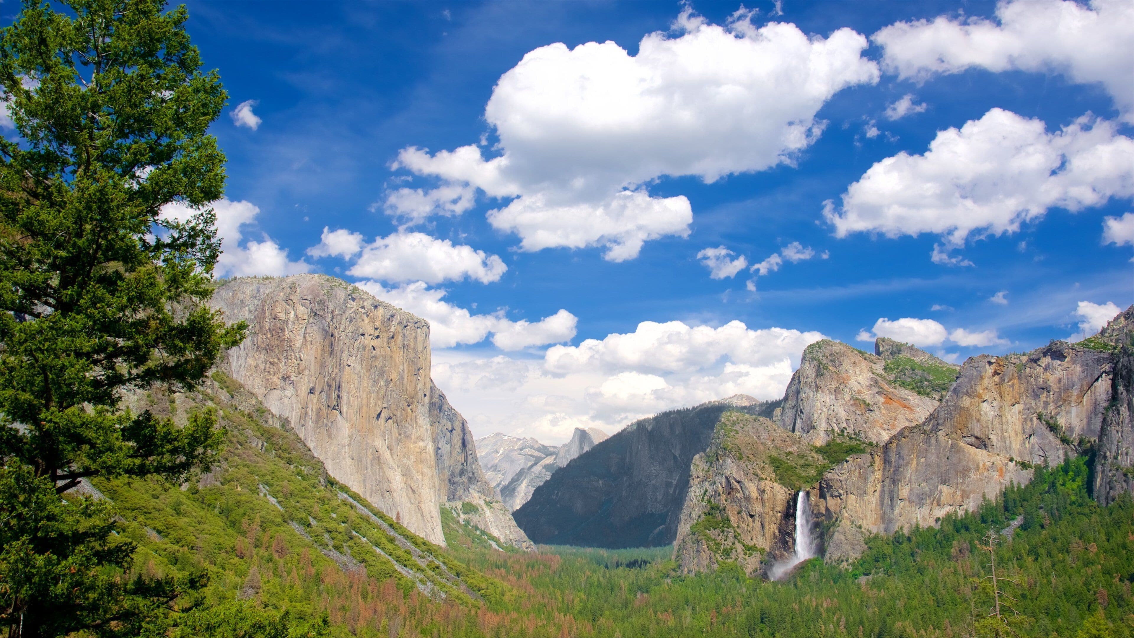 Tunnel View som inkluderer landskap, skog og fjell