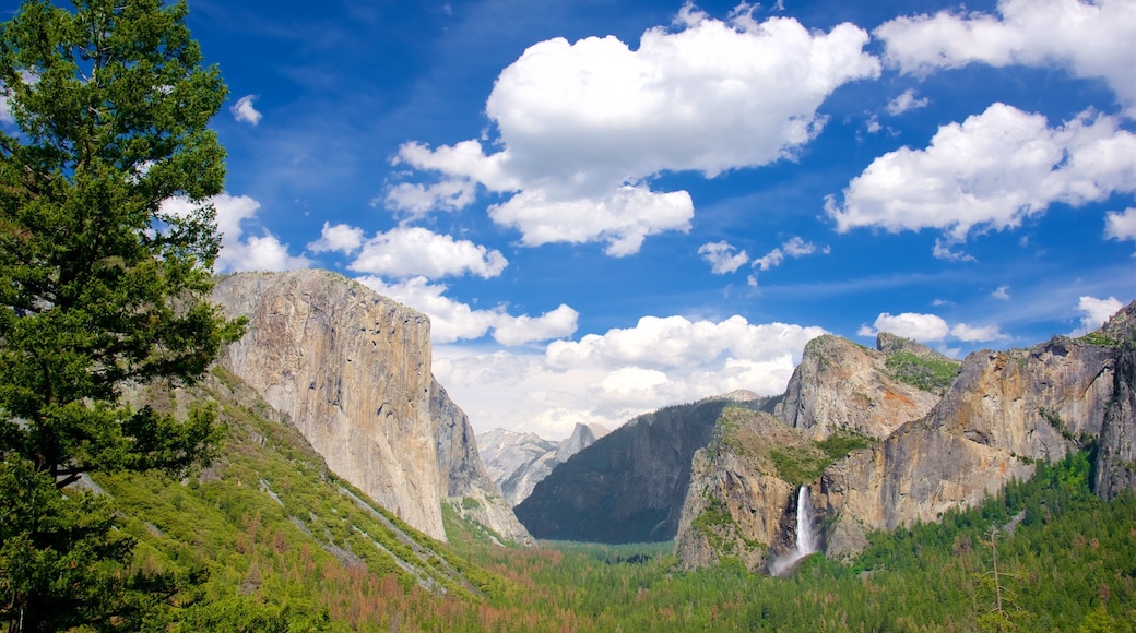 Tunnel View som inkluderer landskap, skog og fjell