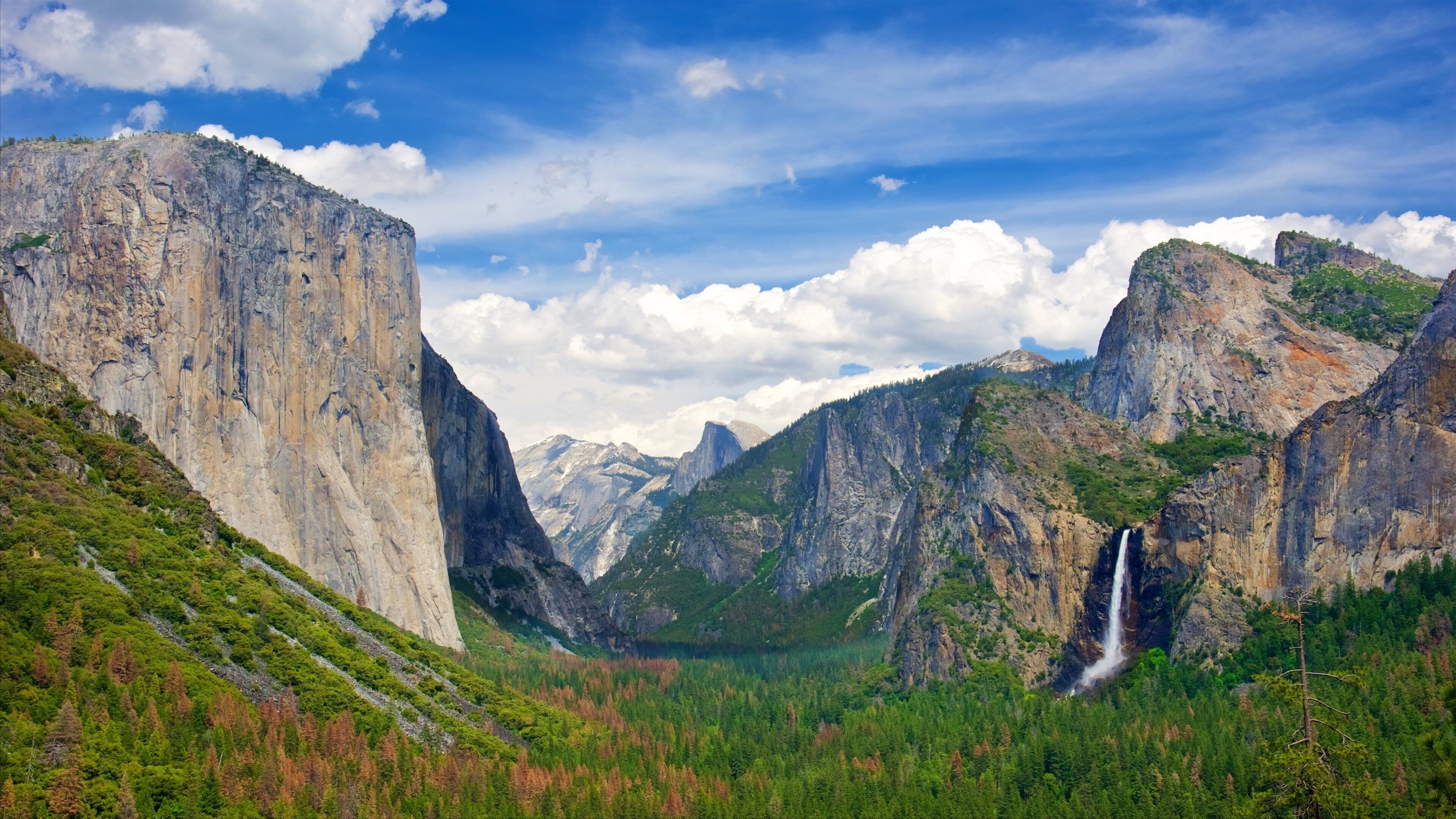 Tunnel View montrant panoramas, montagnes et forêts