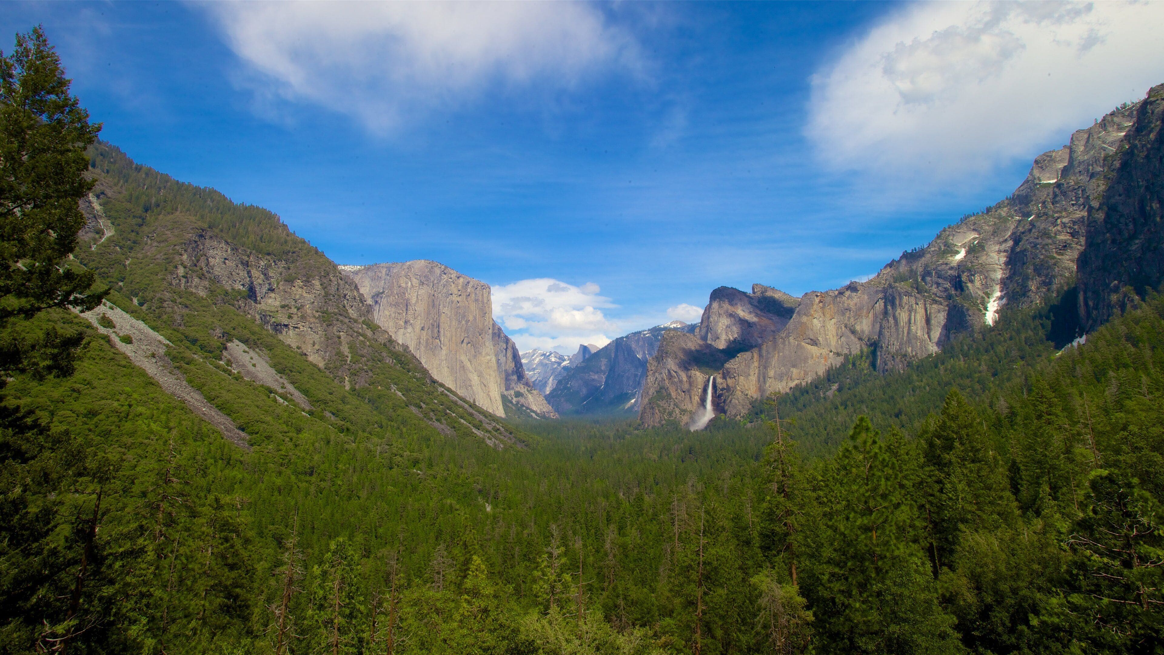 トンネル ビュー (ヨセミテ国立公園) - ツアーとアクティビティ