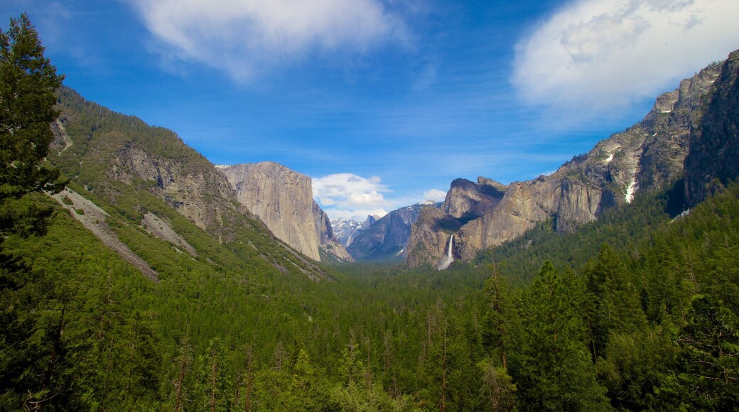 Tunnel View fasiliteter samt skoglandskap