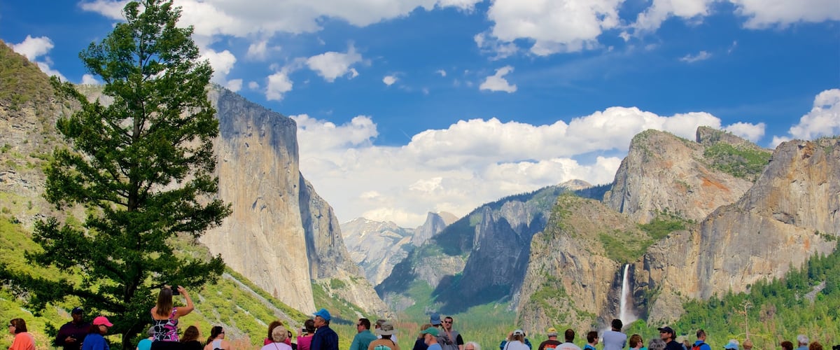 Tunnel View mit einem Ansichten und Berge sowie große Menschengruppe