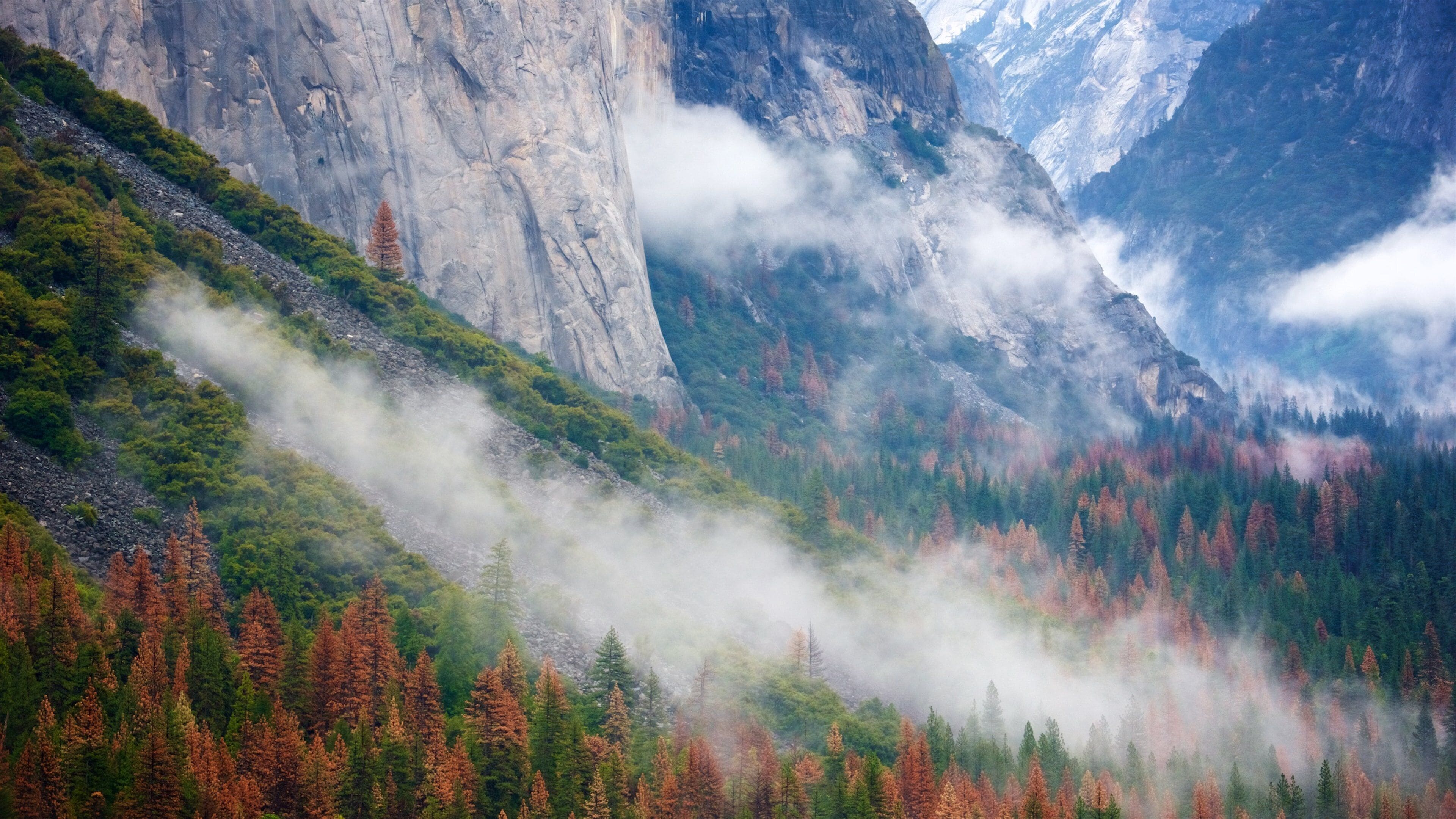 Tunnel View toont herfstbladeren, bos en mist of nevel
