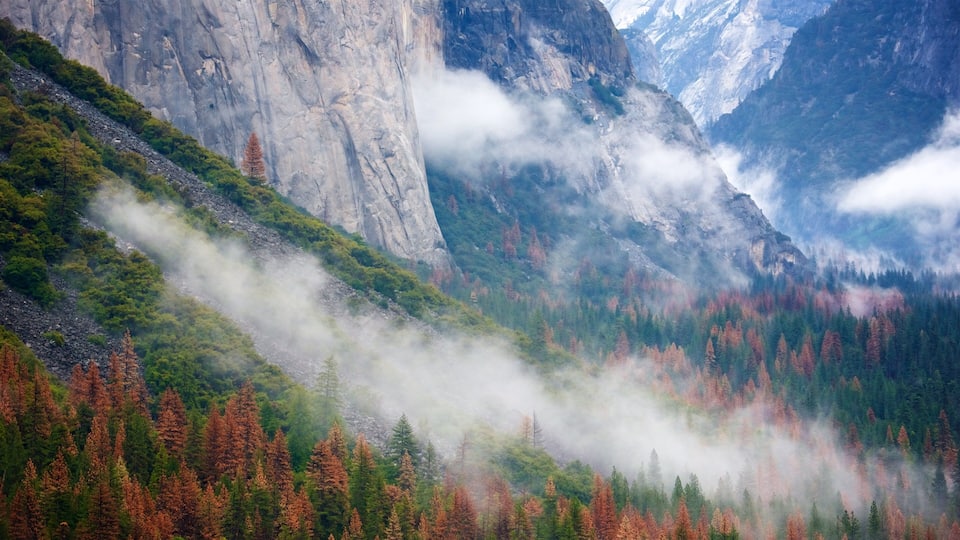 A mountainous landscape with a forested valley, rocky cliffs, and a misty atmosphere.