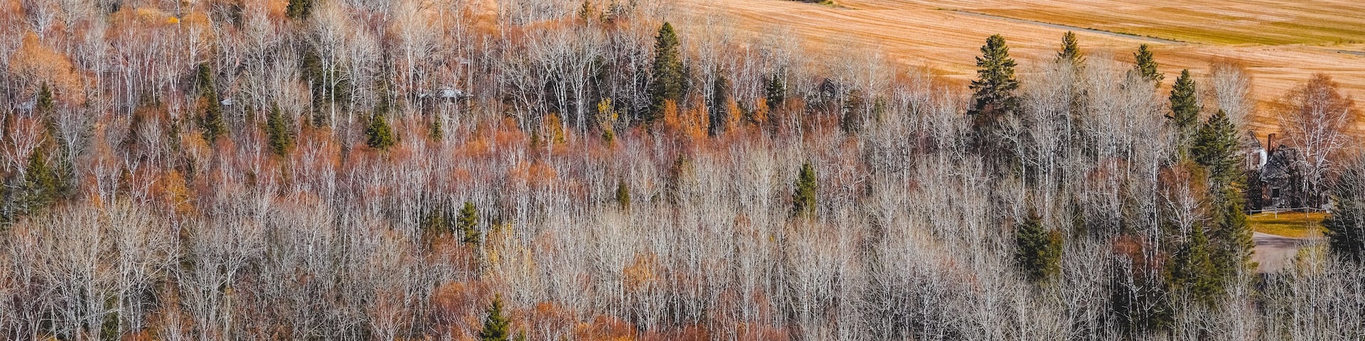 Chambord Skyline with Saint Jean Lake and Fall Foliage against Blue Sky and Clouds in Autumn Sunny Day