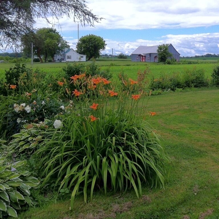 Beautiful farmland in Batiscon, about an hour's drive west of Quebec City. very rural area. 