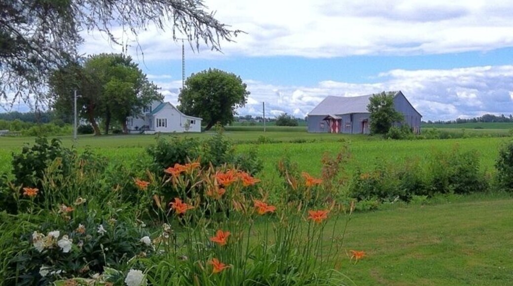 Beautiful farmland in Batiscon, about an hour's drive west of Quebec City. very rural area.