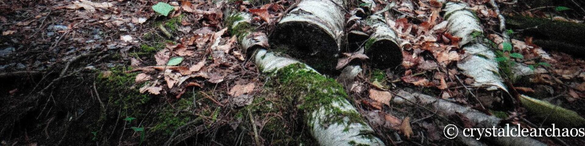 Hiking to the zipline/tree-top-trekking route