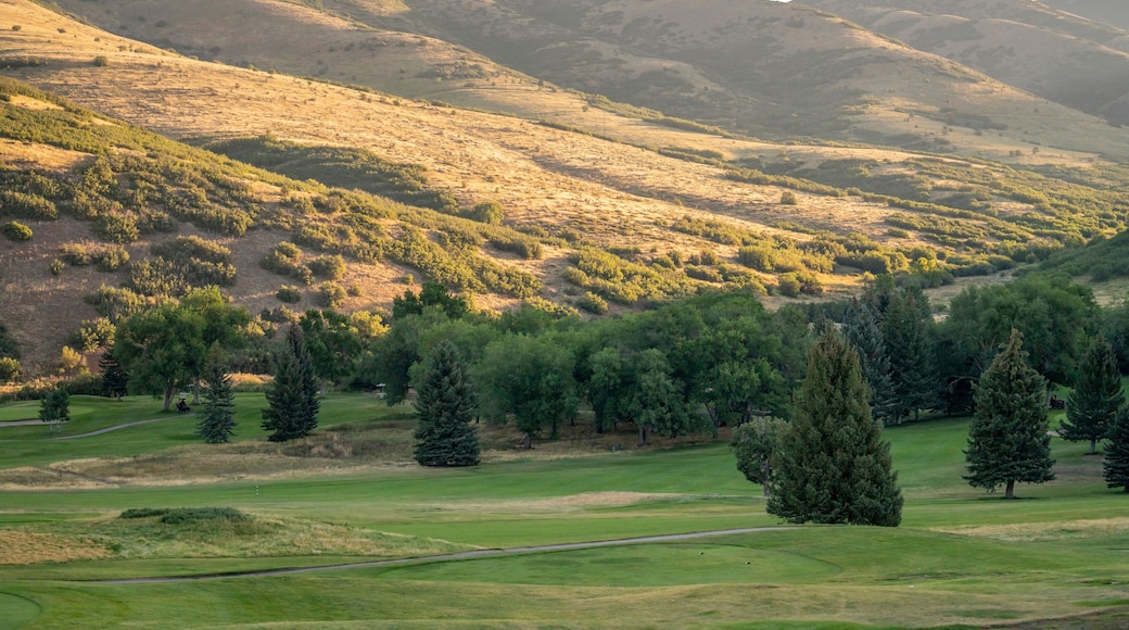 Parcours de golf de Green Spring